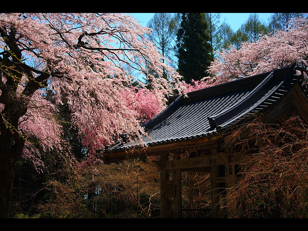 光前寺