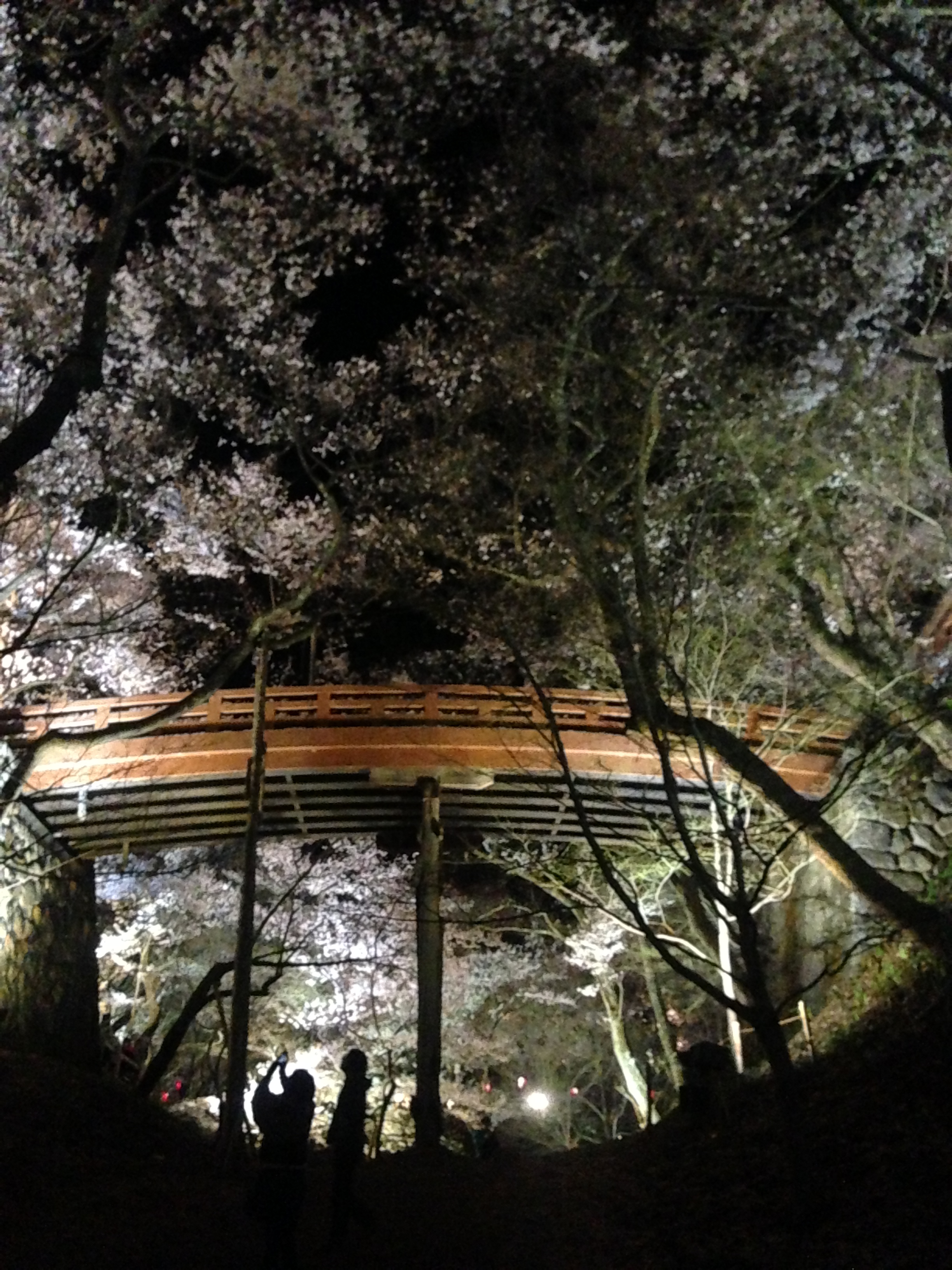 高遠城址公園　天下第一の桜