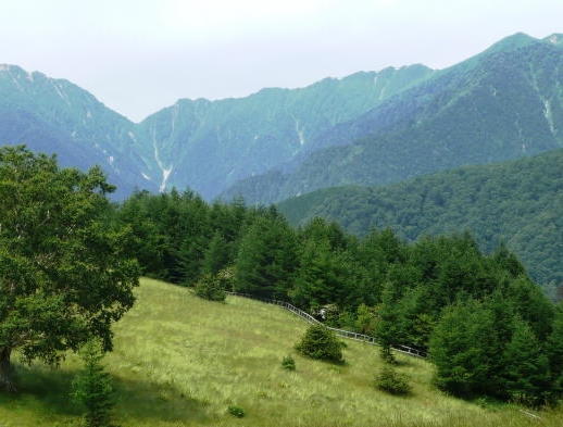 宮田高原