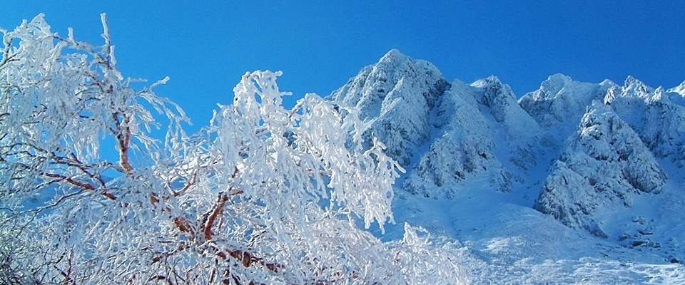 駒ヶ根プレモントホテル